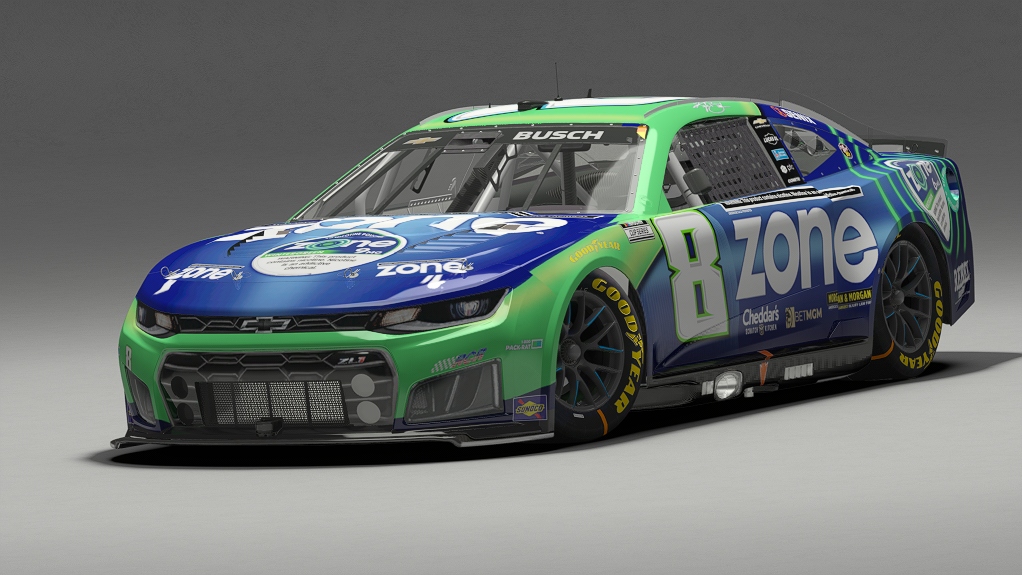 Car Skin